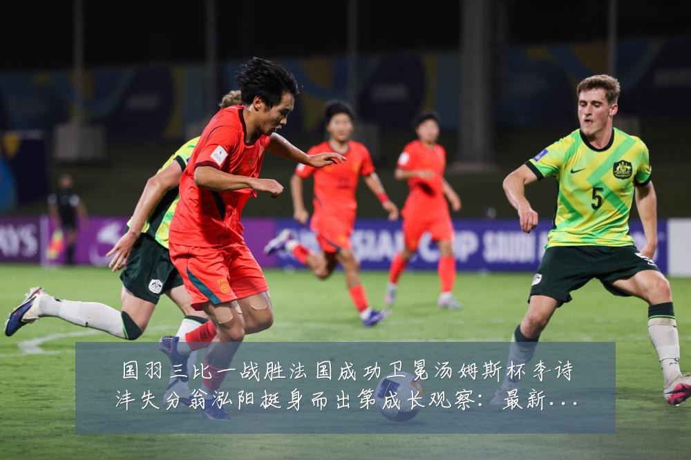 国羽三比一战胜法国成功卫冕汤姆斯杯李诗沣失分翁泓阳挺身而出第成长观察：最新赛事动态与深度分析